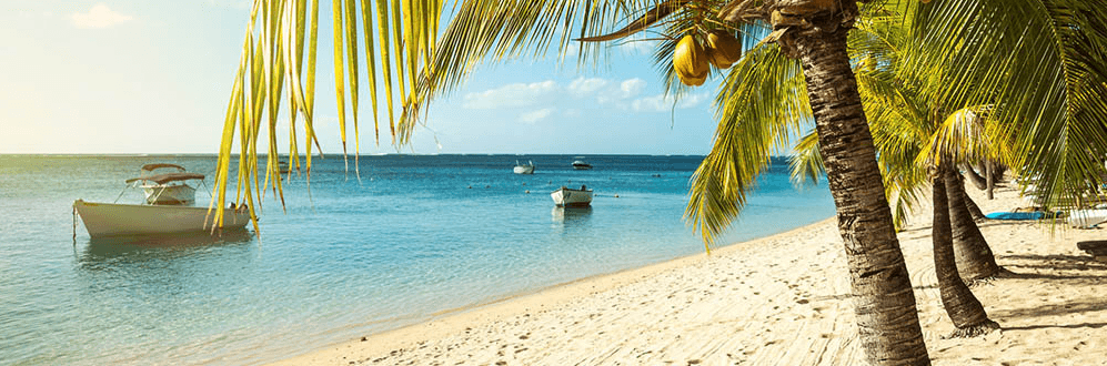 Black Friday Deals on South Packages