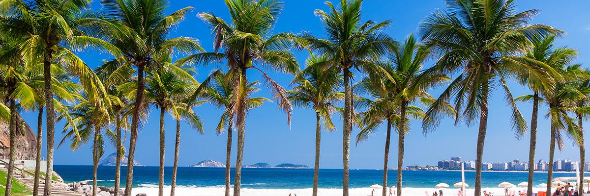 Save $150 Per Person, Book by November 30, 2025 - background banner